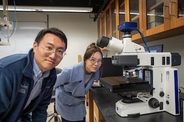 Learning routine: microscopy plus ChatGPT